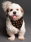 PMC personalised pumpkin bandana for dogs - British product