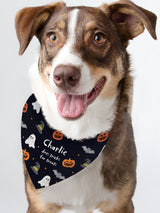 Next PMC Personalised Halloween Dog Bandana- Buy online at McGrocer
