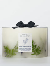 Next French Connection Botanical Infused Vetivert Eucalyptus Sea Salt Pillar Candle 1.5KG- Buy online at McGrocer