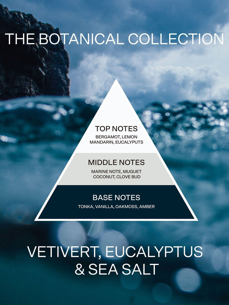 French Connection Botanical Infused Vetivert Eucalyptus Sea Salt Candle 1.5KG - British product