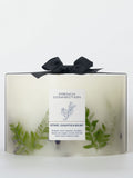 French Connection Botanical Infused Vetivert Eucalyptus Sea Salt Candle 1.5KG - British product