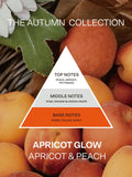 French Connection apricot peach candle and reed diffuser gift set, UK version
