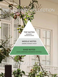 French Connection Luminous Serenity reed diffuser 100ML - British product