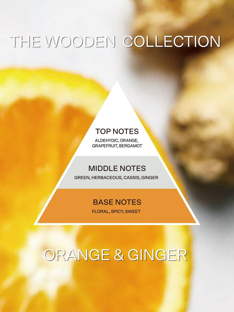 French Connection Reed Diffuser orange ginger 100ML - British product