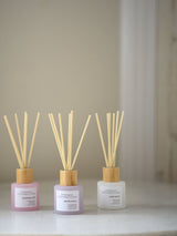 Next French Connection Pastel Range Trio of Reed Diffusers Gift Set 3x50g- Buy online at McGrocer