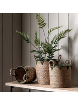 Next Gallery Home Set of 3 Natural and Green Jianna Baskets- Buy online at McGrocer