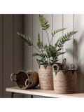 Gallery Home baskets set of 3 natural green seagrass - British product