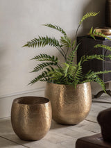 Next Gallery Home Set of 2 Bronze Aniya Metal Planters- Buy online at McGrocer