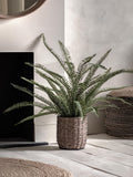 Gallery Home green potted fern plant in copper planter, imported from the UK
