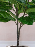 Beards & Daisies artificial fiddle leaf fig tree 120cm - British product