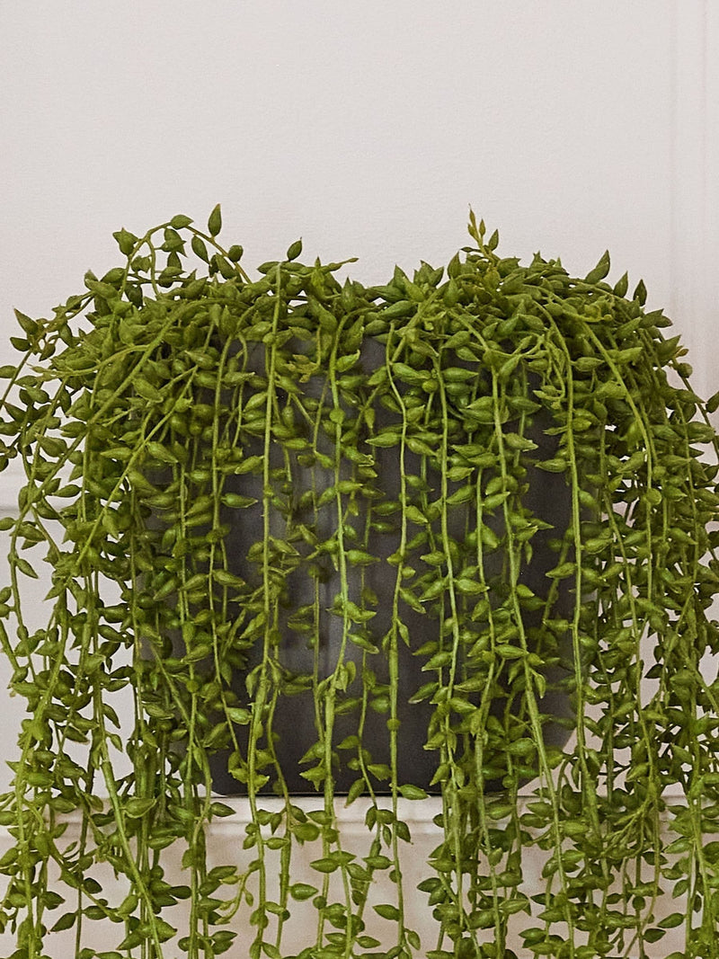 Beards & Daisies Green Artificial String of Pearls 50cm - British product
