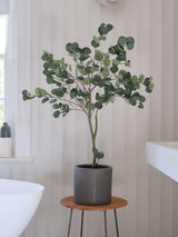 Next Beards & Daisies Green Artificial Eucalyptus Tree 120cm- Buy online at McGrocer