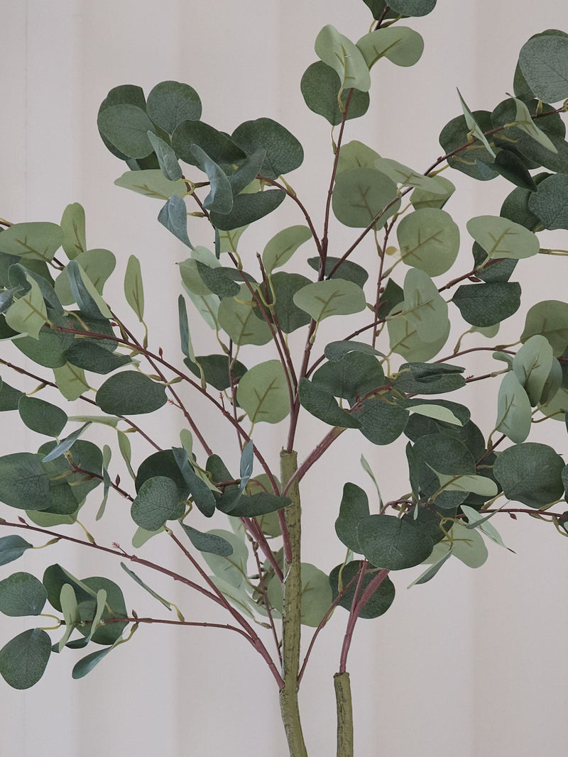Beards & Daisies green artificial eucalyptus tree 120cm - British product