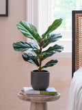 Beards & Daisies Green Artificial Fiddle Leaf Fig Plant