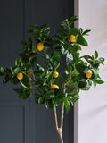 Beards & Daisies Green Artificial Lemon Tree