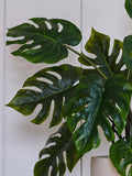 Beards & Daisies Green Artificial Plant 80cm - British product