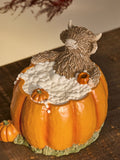 Orange Hamish Pumpkin Bath Ornament, imported from the UK