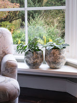 Next Laura Ashley Set of 2 Cream Marlbrook Decorative Plant Pots- Buy online at McGrocer