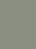 William Morris Potted Sage peel and stick paint sample A5, imported from the UK