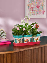 Next Lucy Tiffney Red/Green Tropical Birds Set of 3 Plant Pots- Buy online at McGrocer
