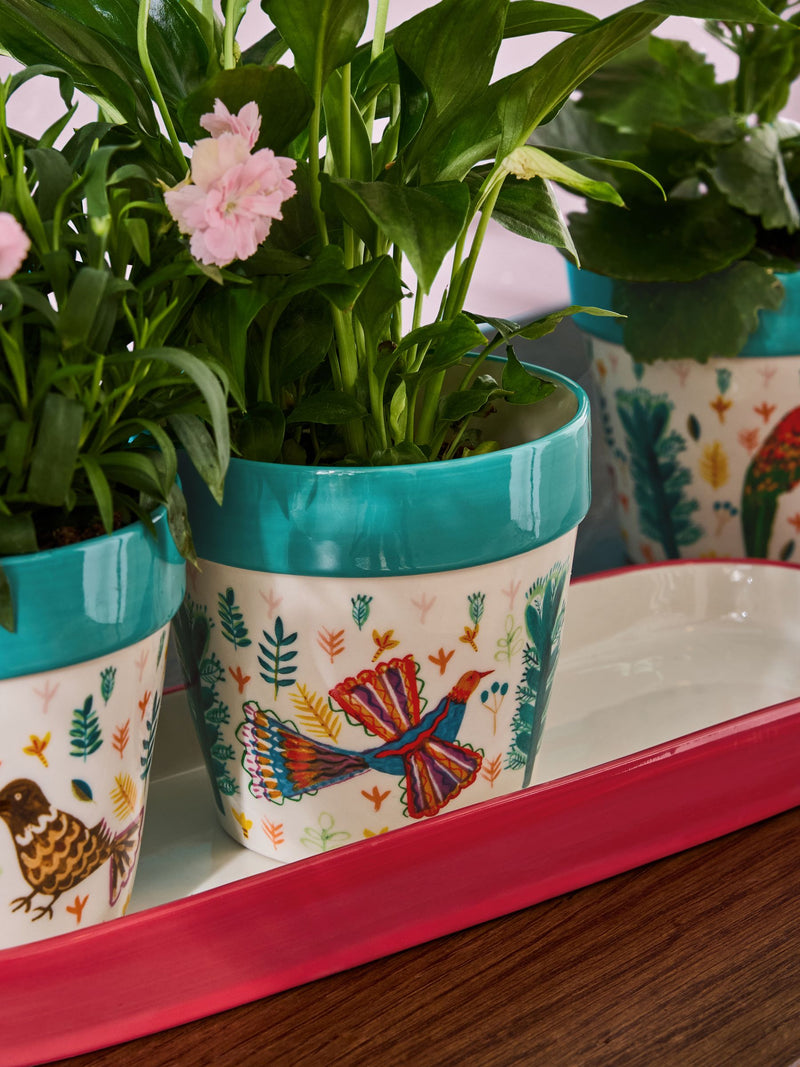 Lucy Tiffney ceramic plant pots with tropical bird designs, set of 3, UK version