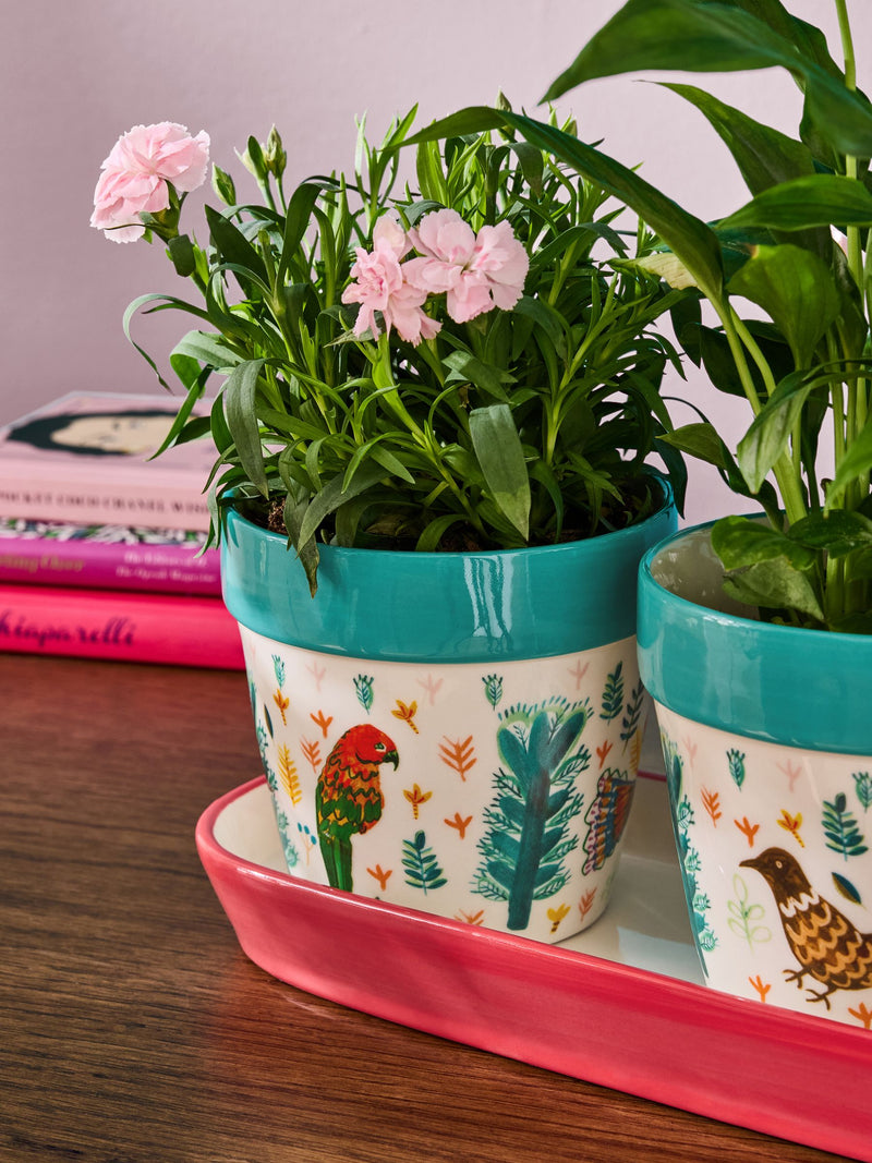 Lucy Tiffney ceramic plant pots with tropical bird designs, set of 3, UK version