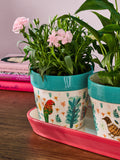 Lucy Tiffney ceramic plant pots with tropical bird designs, set of 3, UK version