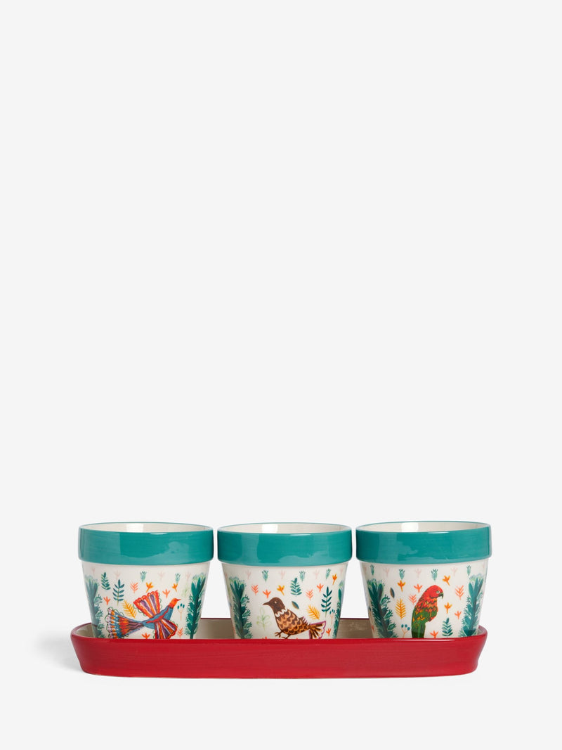 Lucy Tiffney ceramic plant pots with tropical bird designs, set of 3, UK version