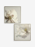 Lipsy cream flower wall art set of two 60cm x 60cm, UK version