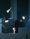 Anglepoise Paul Smith Defender Type 75 desk lamp Edition 4 (British brand)