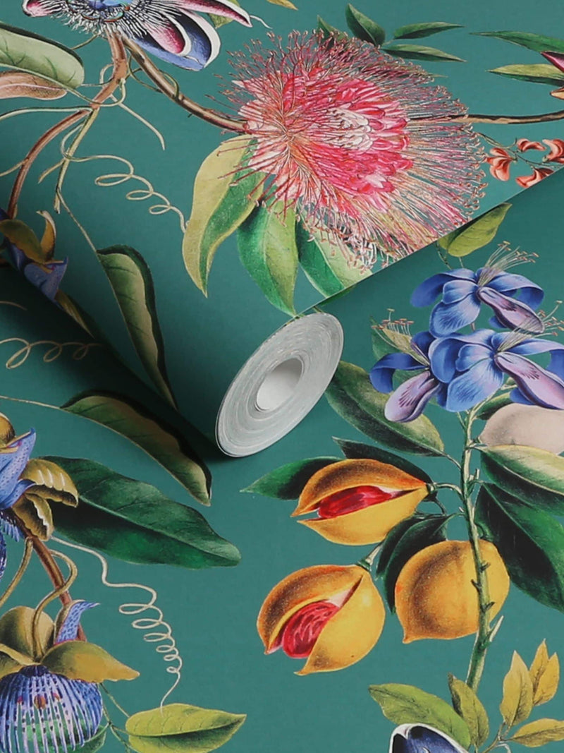 Graham & Brown Teal Physic Garden sample A4, imported from the UK