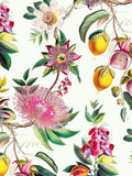 Graham & Brown Lush Physic Garden wallpaper sample A4, imported from the UK