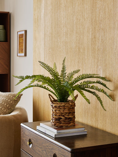 Next Artificial Boston Fern in Natural Woven Plant Pot 64cm Height 43cm Diameter- Buy online at McGrocer