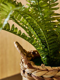 Artificial Boston fern in woven pot 64cm height, UK version