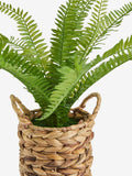 Artificial Boston fern in woven pot 64cm height, UK version