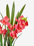 Artificial pink orchid in gold ceramic pot, 50cm tall, imported from the UK