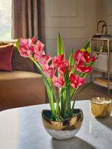Next Pink Artificial Orchid in Gold Ceramic Pot Home Decor 50cm Tall- Buy online at McGrocer