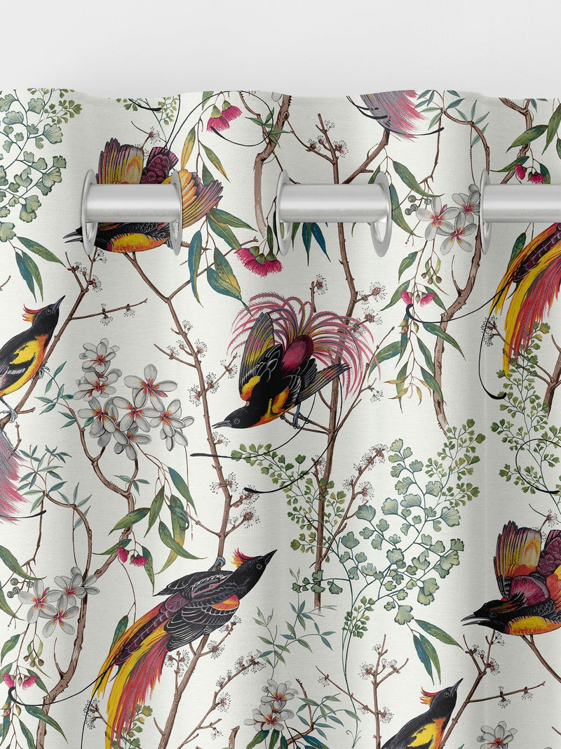Graham & Brown Clavering Birds cotton curtains (British brand)
