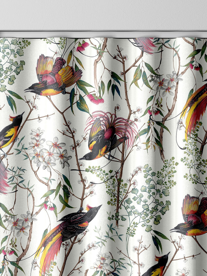 Graham & Brown Clavering Birds cotton curtains (British brand)