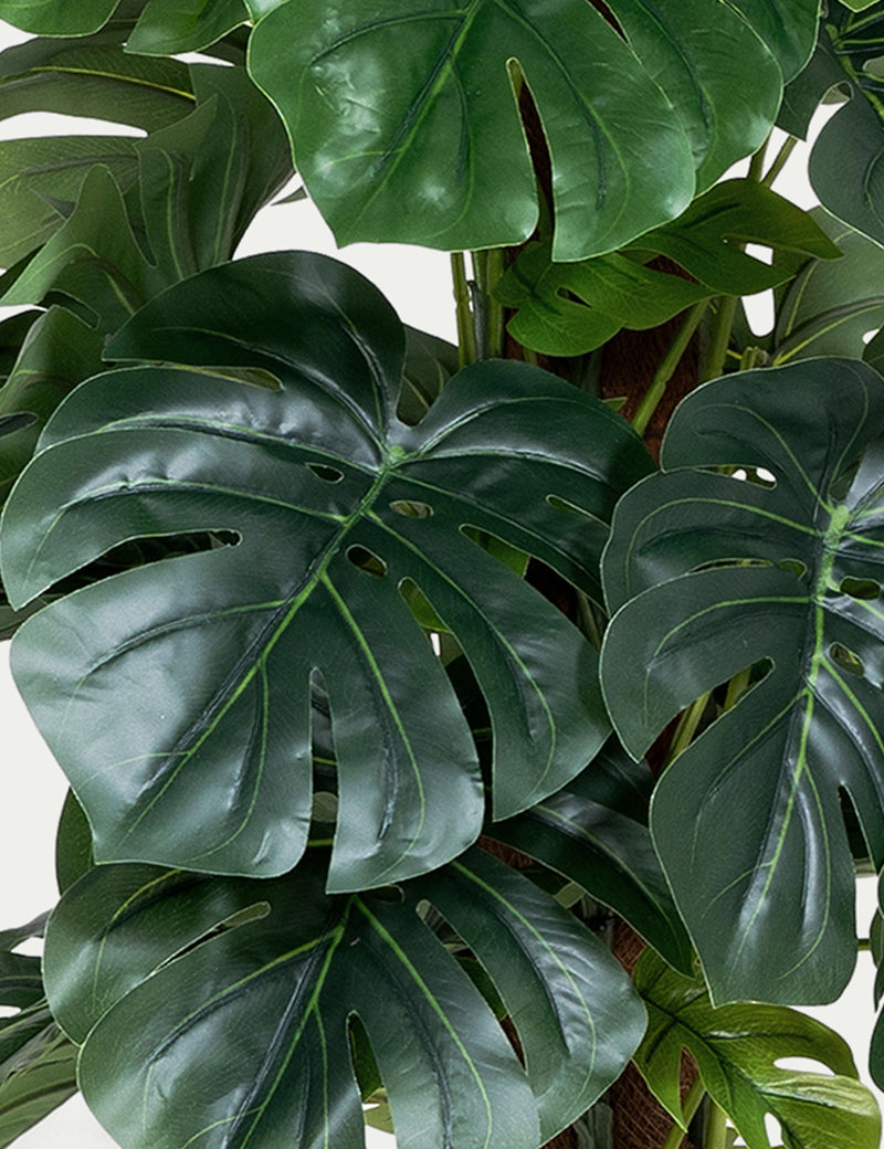 Blooming Artificial Monstera on pole 4ft (British brand)