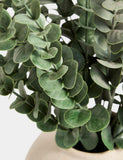 Moss & Sweetpea artificial eucalyptus in concrete pot, UK version