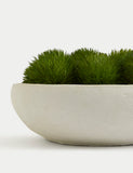 Artificial moss in concrete bowl decorative plant, 20 cm wide - British product