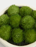 Artificial moss in concrete bowl decorative plant, 20 cm wide - British product