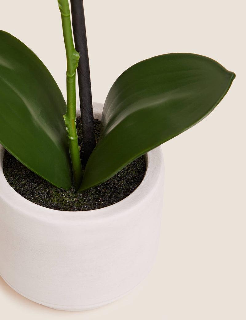 Moss & Sweetpea artificial real touch small orchid in pot - British product