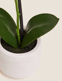 Moss & Sweetpea artificial real touch small orchid in pot - British product