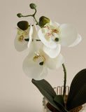 Artificial small orchid in glass pot 24cm, imported from the UK