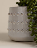 Artificial String of Pearls in ceramic pot, imported from the UK