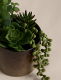 Artificial succulent collection in reactive glaze pot, British brand