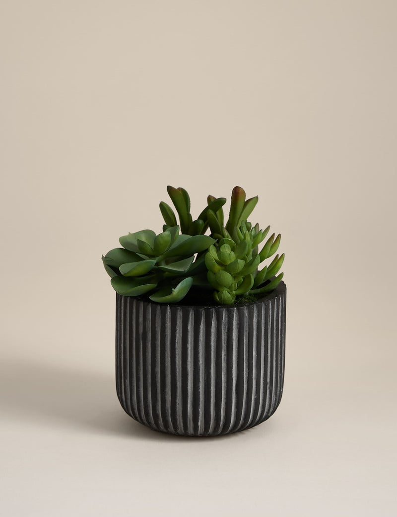 Moss & Sweetpea artificial succulents in ridged cement pot - British product