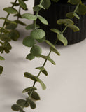 Artificial trailing baby plant in textured ceramic pot 36.8cm height - British product